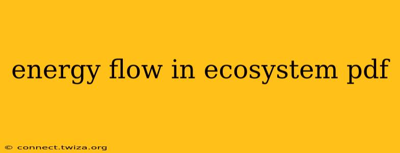 energy flow in ecosystem pdf