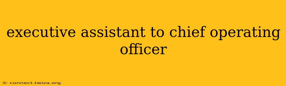 executive assistant to chief operating officer