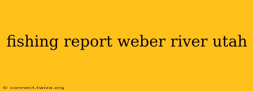 fishing report weber river utah