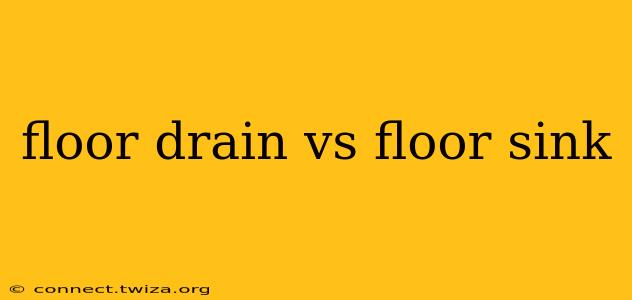 floor drain vs floor sink