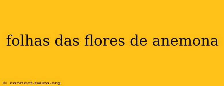 folhas das flores de anemona