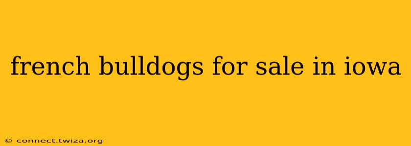 french bulldogs for sale in iowa