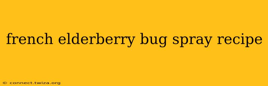 french elderberry bug spray recipe