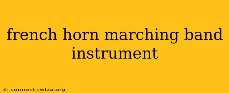 french horn marching band instrument