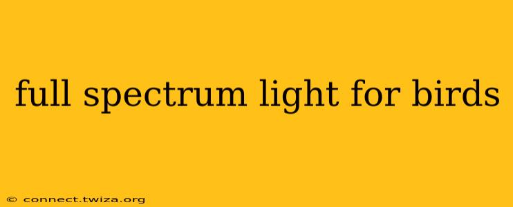 full spectrum light for birds