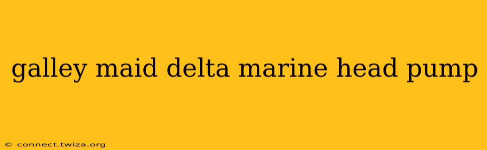 galley maid delta marine head pump