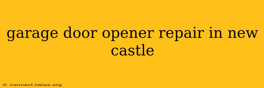 garage door opener repair in new castle