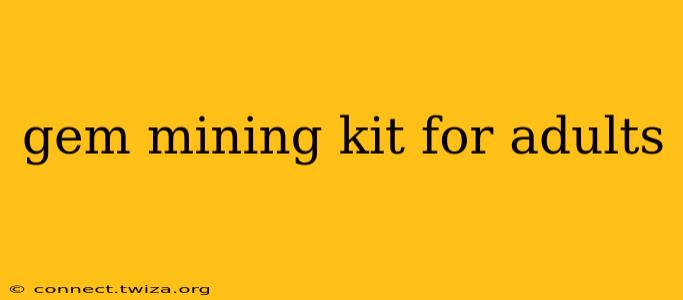 gem mining kit for adults