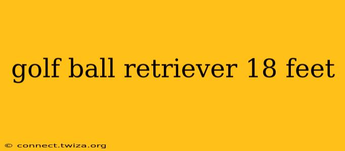 golf ball retriever 18 feet