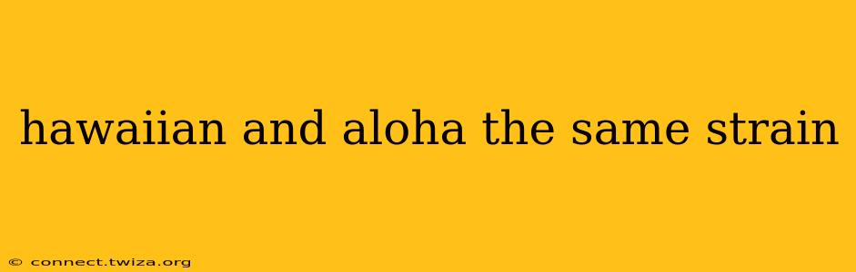 hawaiian and aloha the same strain