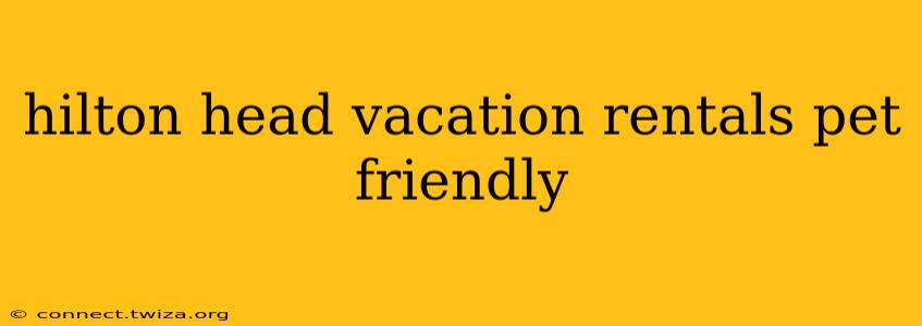 hilton head vacation rentals pet friendly