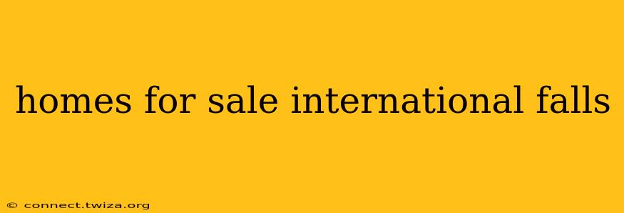 homes for sale international falls