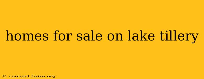 homes for sale on lake tillery