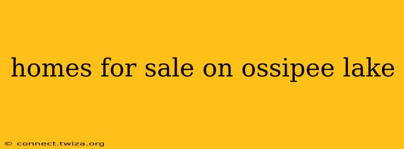 homes for sale on ossipee lake
