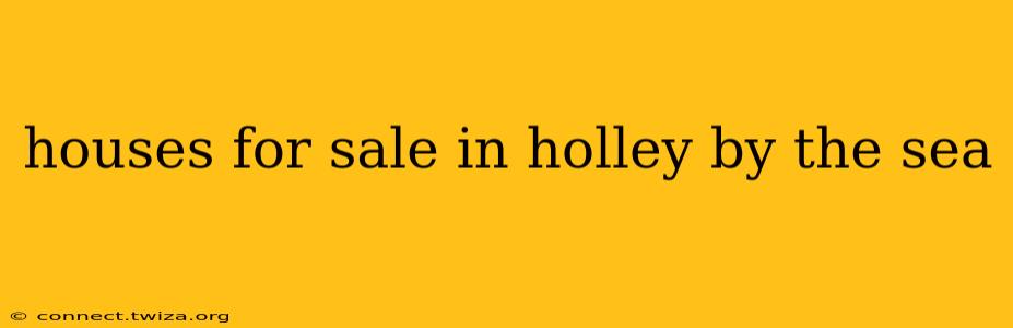 houses for sale in holley by the sea