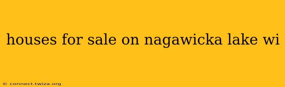 houses for sale on nagawicka lake wi