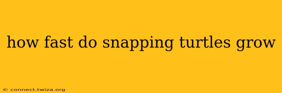 how fast do snapping turtles grow