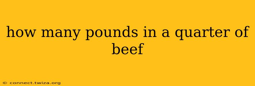 how many pounds in a quarter of beef