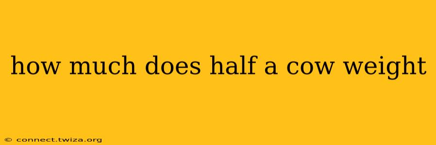 how much does half a cow weight