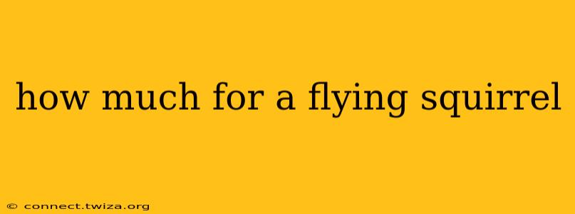 how much for a flying squirrel