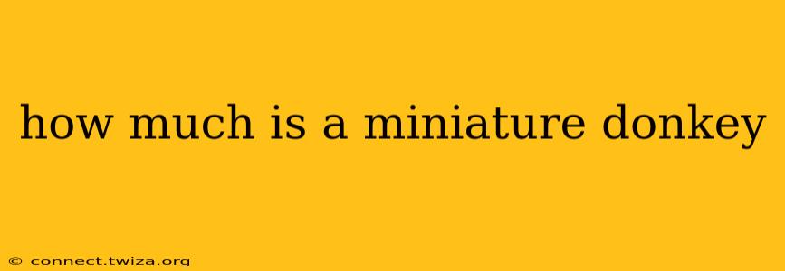 how much is a miniature donkey