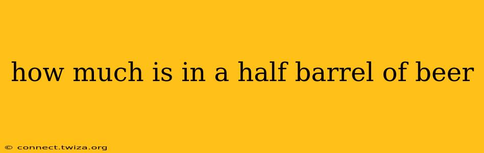 how much is in a half barrel of beer