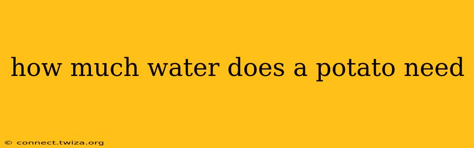 how much water does a potato need