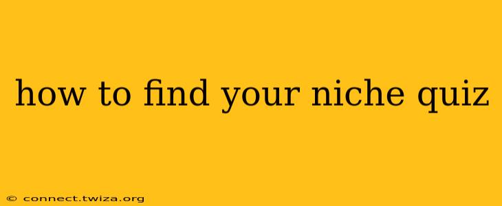 how to find your niche quiz