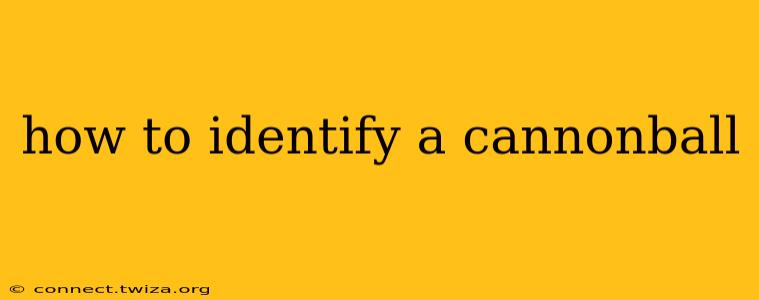 how to identify a cannonball