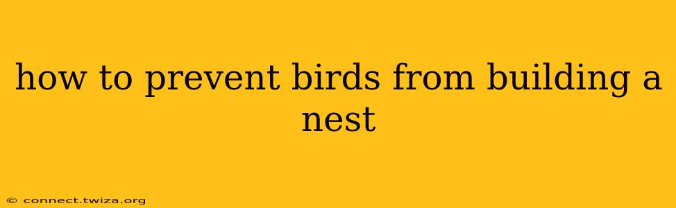 how to prevent birds from building a nest
