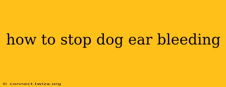 how to stop dog ear bleeding
