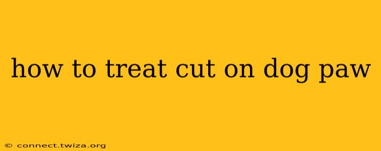 how to treat cut on dog paw