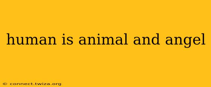human is animal and angel