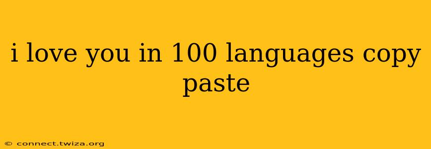 i love you in 100 languages copy paste