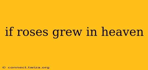 if roses grew in heaven