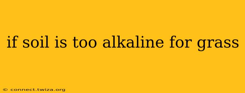 if soil is too alkaline for grass