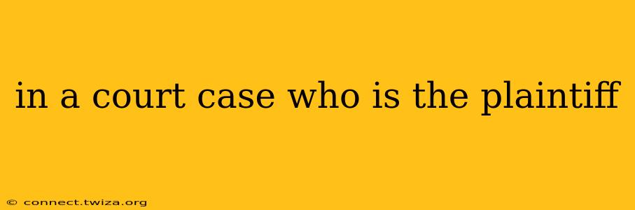 in a court case who is the plaintiff