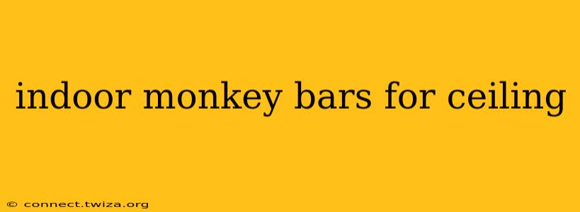 indoor monkey bars for ceiling