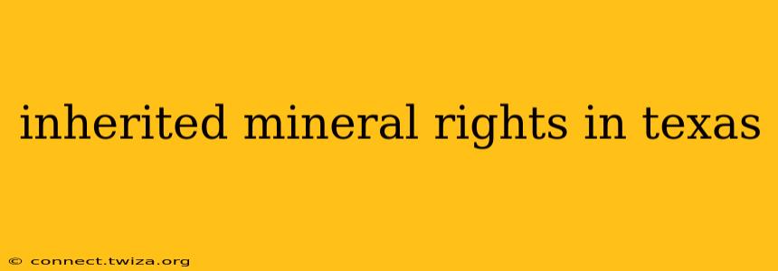 inherited mineral rights in texas