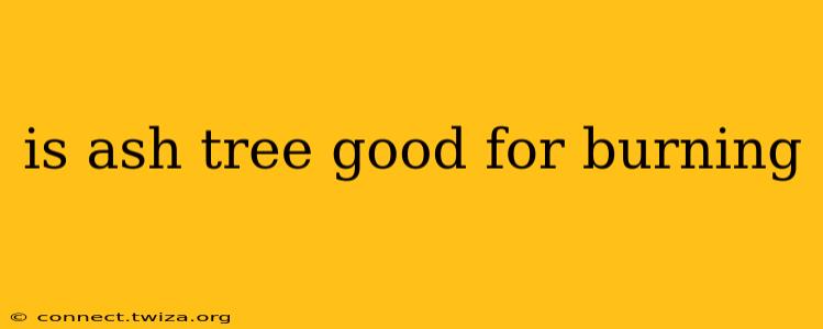 is ash tree good for burning