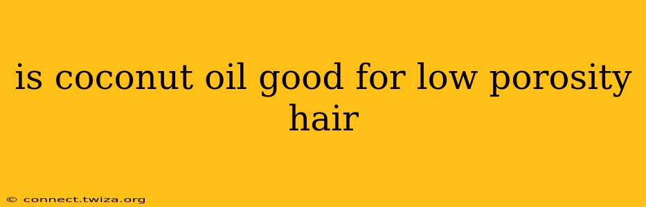 is coconut oil good for low porosity hair