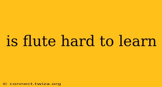 is flute hard to learn
