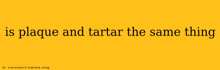 is plaque and tartar the same thing