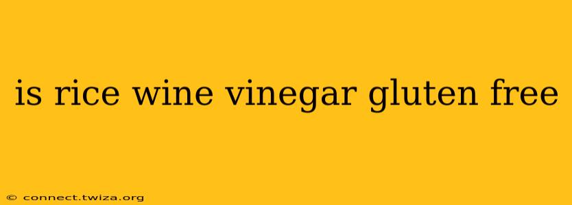is rice wine vinegar gluten free