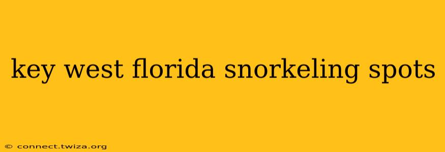 key west florida snorkeling spots