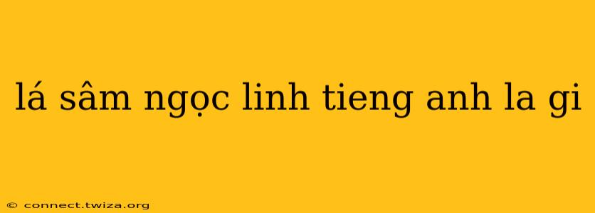 lá sâm ngọc linh tieng anh la gi