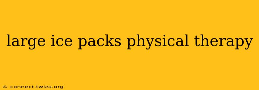 large ice packs physical therapy