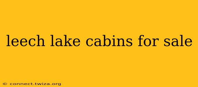 leech lake cabins for sale