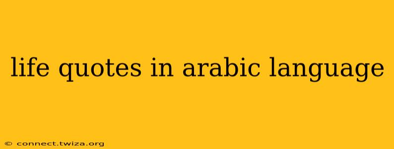 life quotes in arabic language
