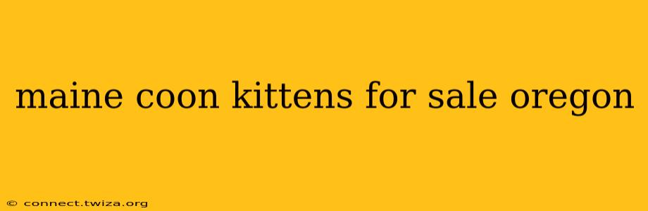 maine coon kittens for sale oregon